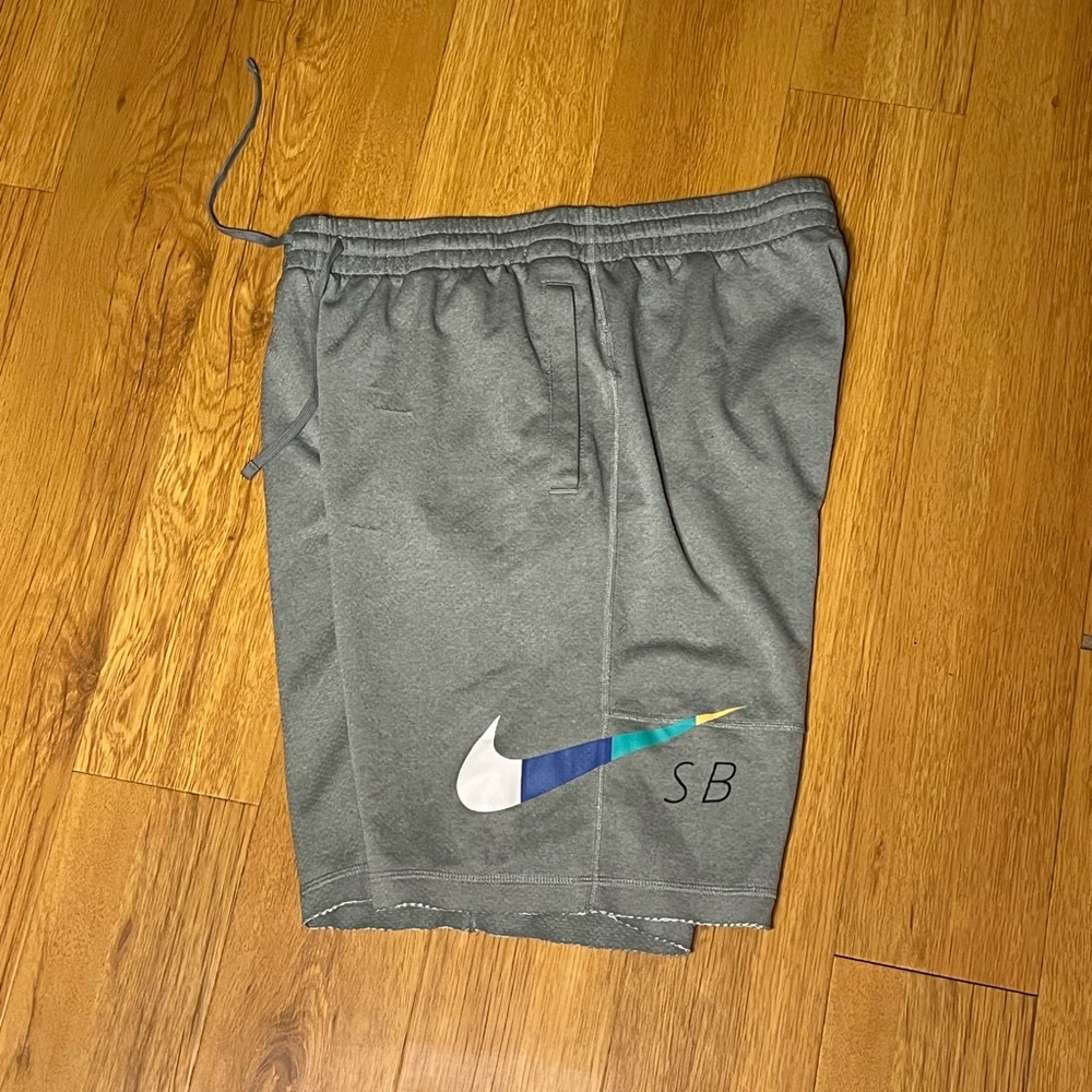 Nike SB shorts